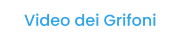 Video dei Grifoni