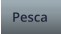 Pesca