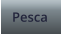 Pesca