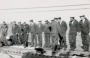 1943 Durban - Il Gatto è la mascotte dell'Incrociatore Caradoc ormeggiato vicino