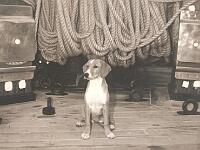 1966_crociera_su_vespucci_09