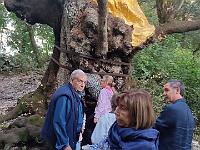 2024_acquapendente_08-1024x1024