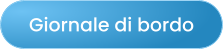Giornale di bordo