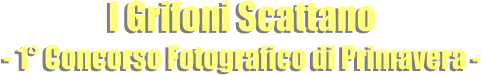 I Grifoni Scattano - 1° Concorso Fotografico di Primavera -