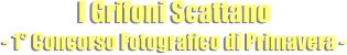 I Grifoni Scattano - 1° Concorso Fotografico di Primavera -