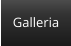 Galleria