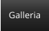 Galleria