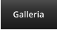 Galleria