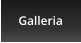 Galleria