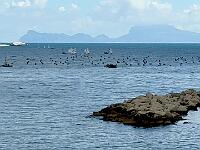 In giro per Napoli 0142