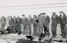 1943 Durban - Il Gatto è la mascotte dell'Incrociatore Caradoc ormeggiato vicino