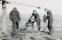 1943 Durban - Il Gatto è la mascotte dell'Incrociatore Caradoc ormeggiato vicino